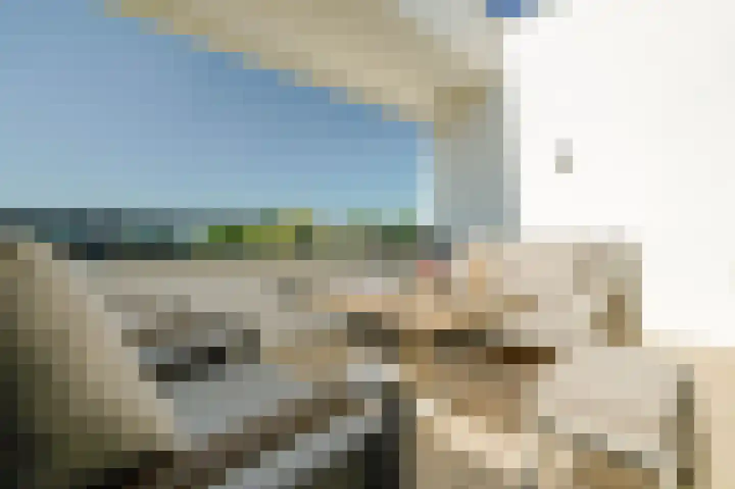 Lamsrustlaan 45 Rotterdam thumbnail 24