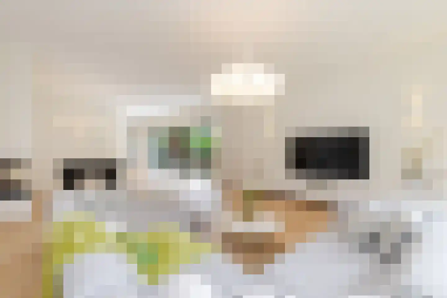 Lamsrustlaan 72 Rotterdam thumbnail 12