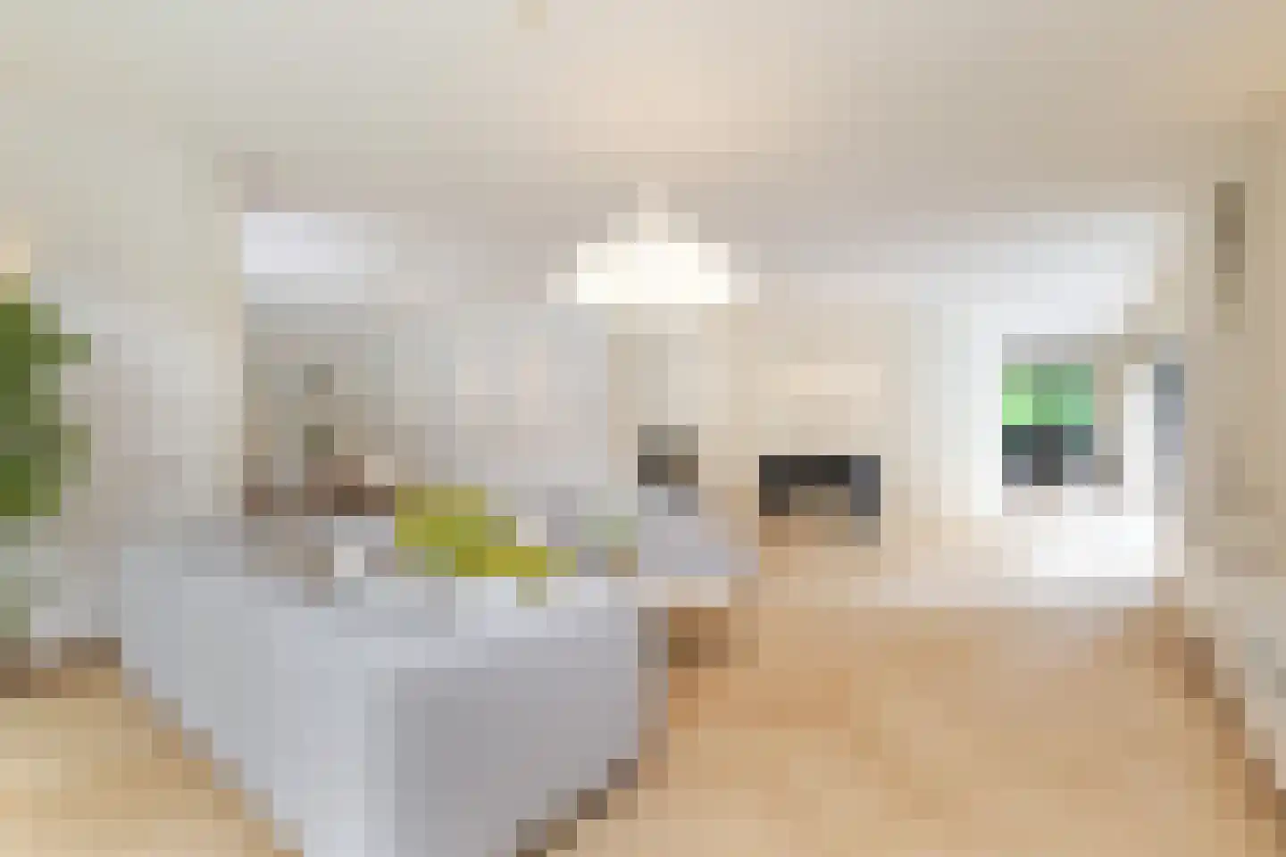 Lamsrustlaan 72 Rotterdam thumbnail 13