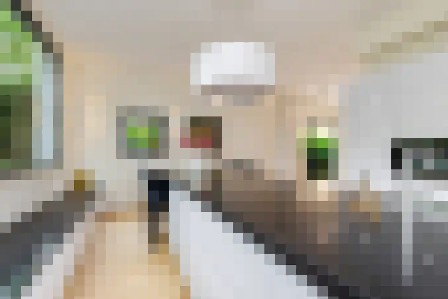 Lamsrustlaan 72 Rotterdam thumbnail 19