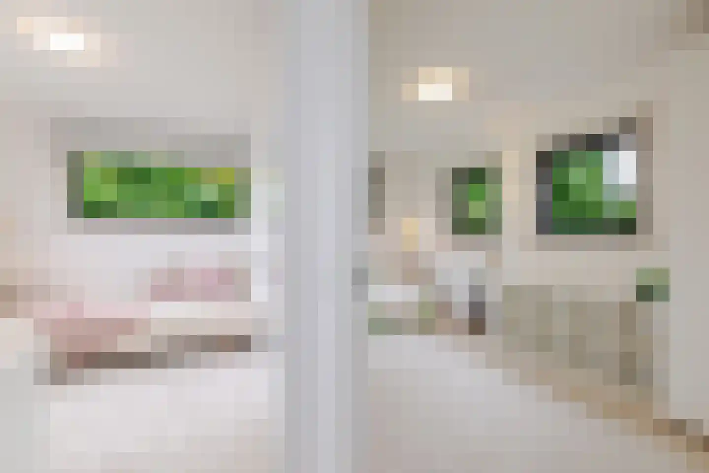 Lamsrustlaan 72 Rotterdam thumbnail 36