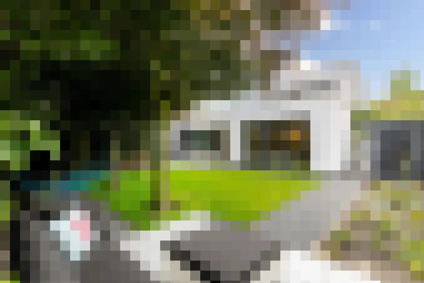 Lamsrustlaan 72 Rotterdam thumbnail 4