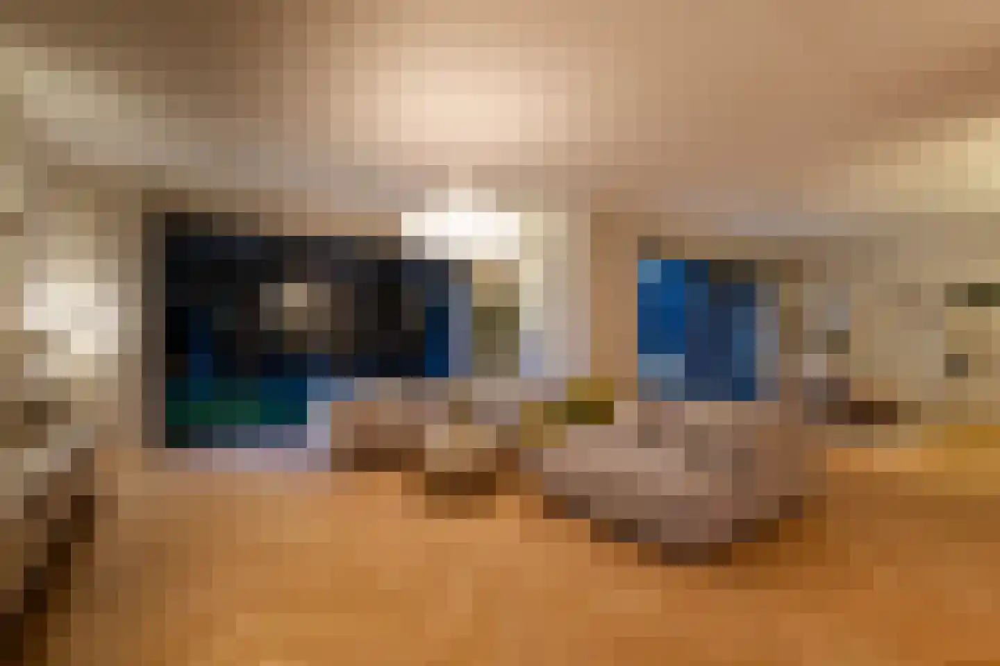 Lamsrustlaan 72 Rotterdam thumbnail 81