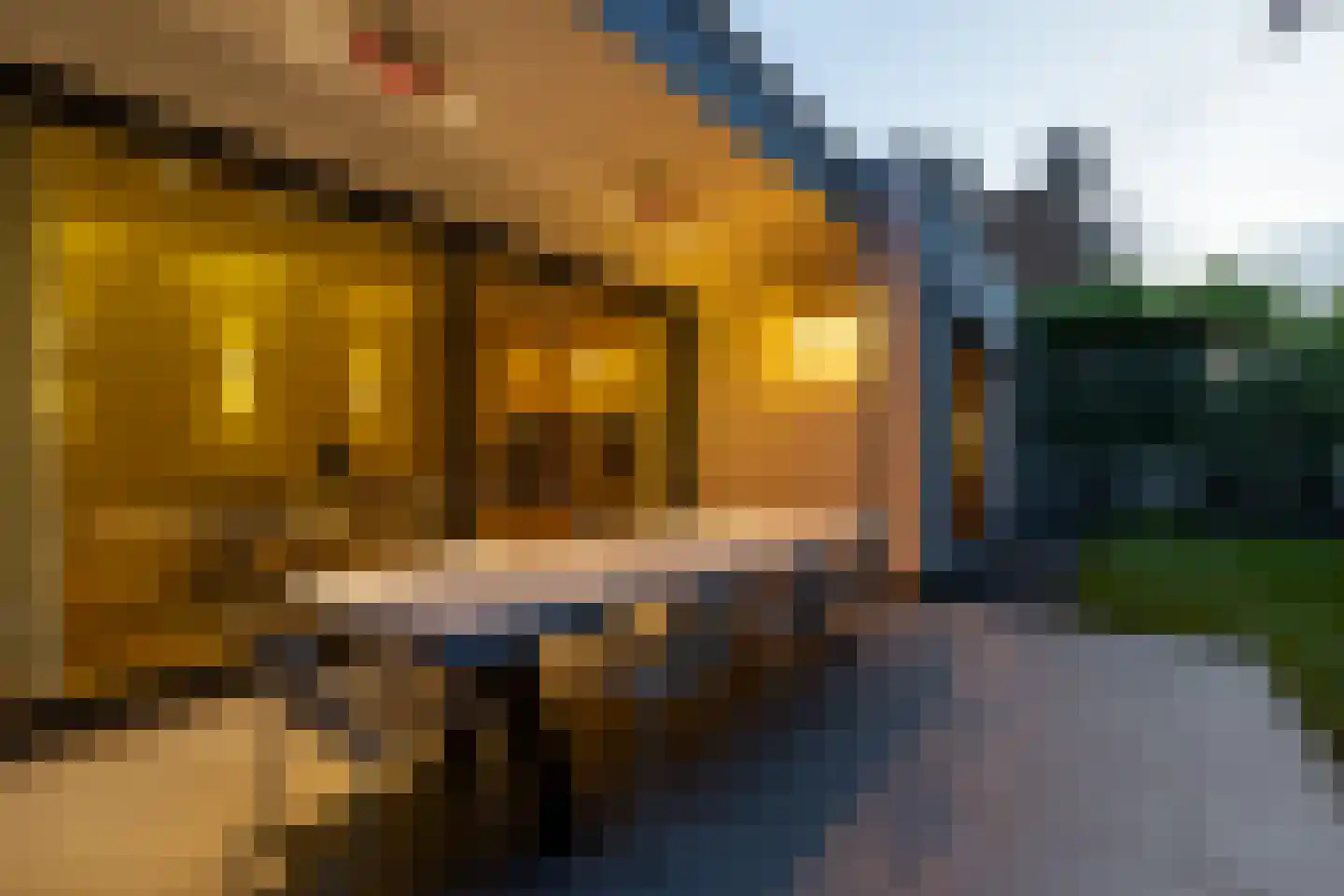 Lamsrustlaan 72 Rotterdam thumbnail 82