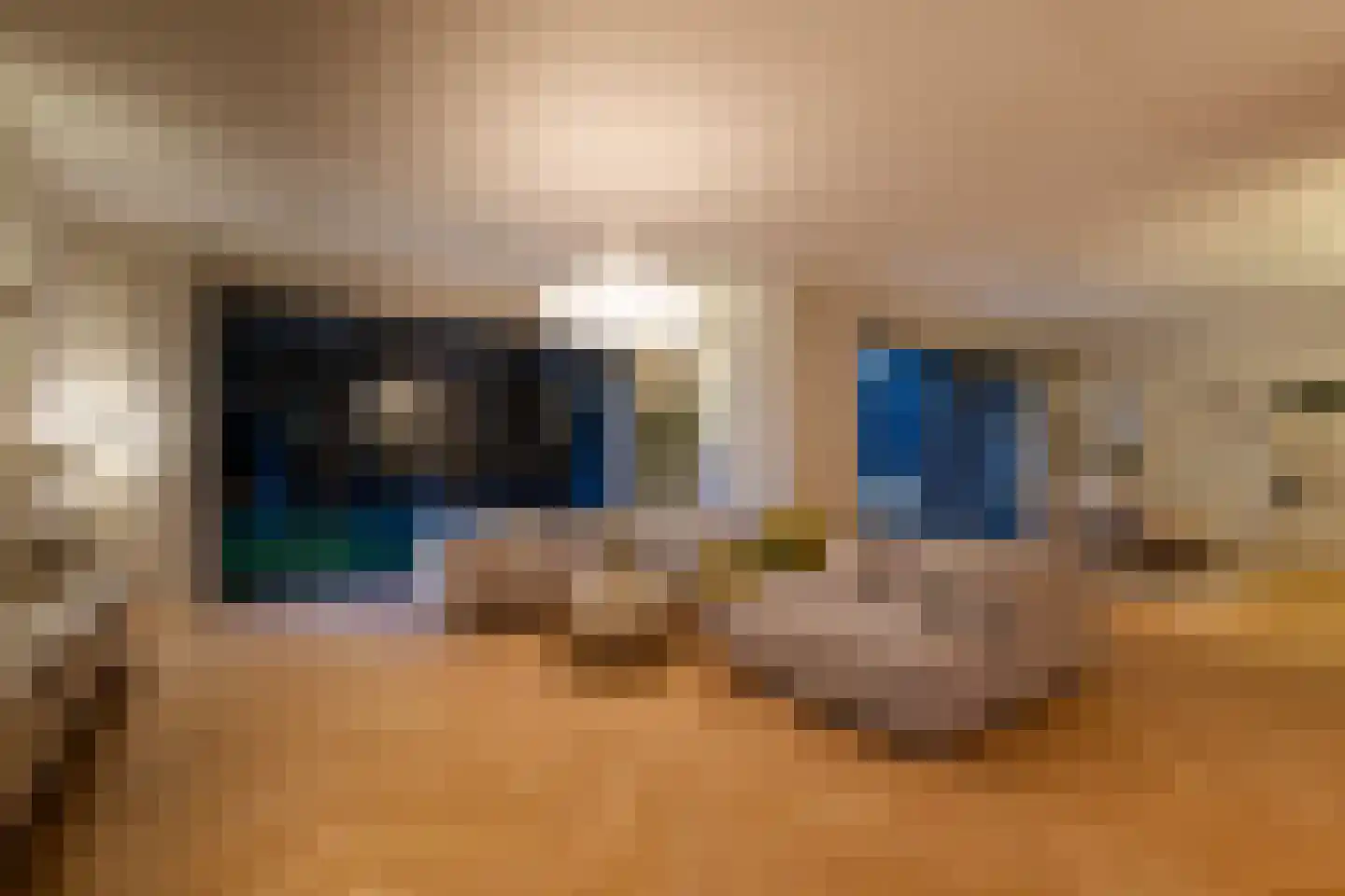 Lamsrustlaan 72 Rotterdam thumbnail 83