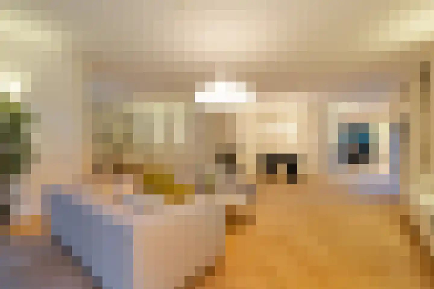 Lamsrustlaan 72 Rotterdam thumbnail 86
