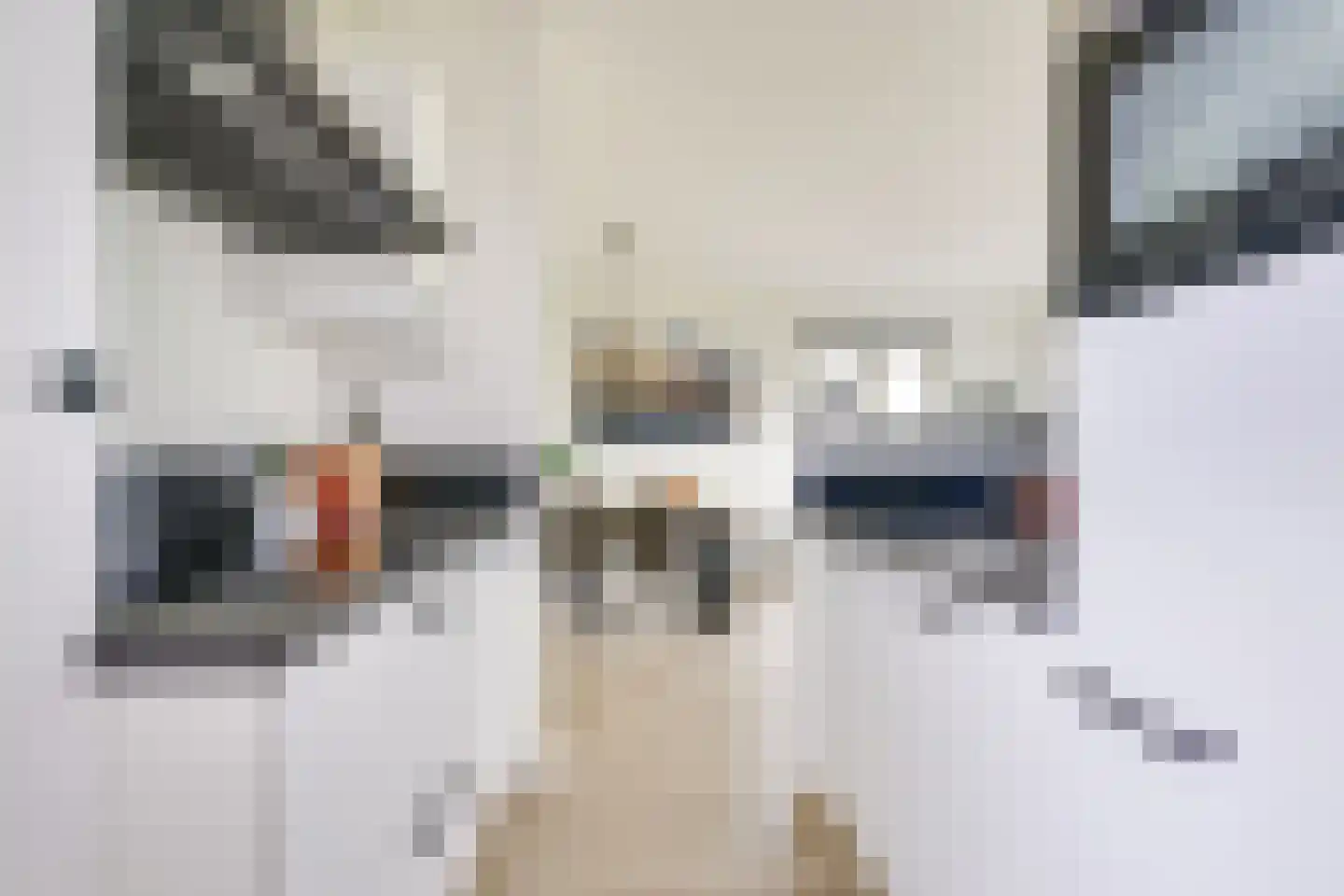 Lamstraat 23 Utrecht thumbnail 6
