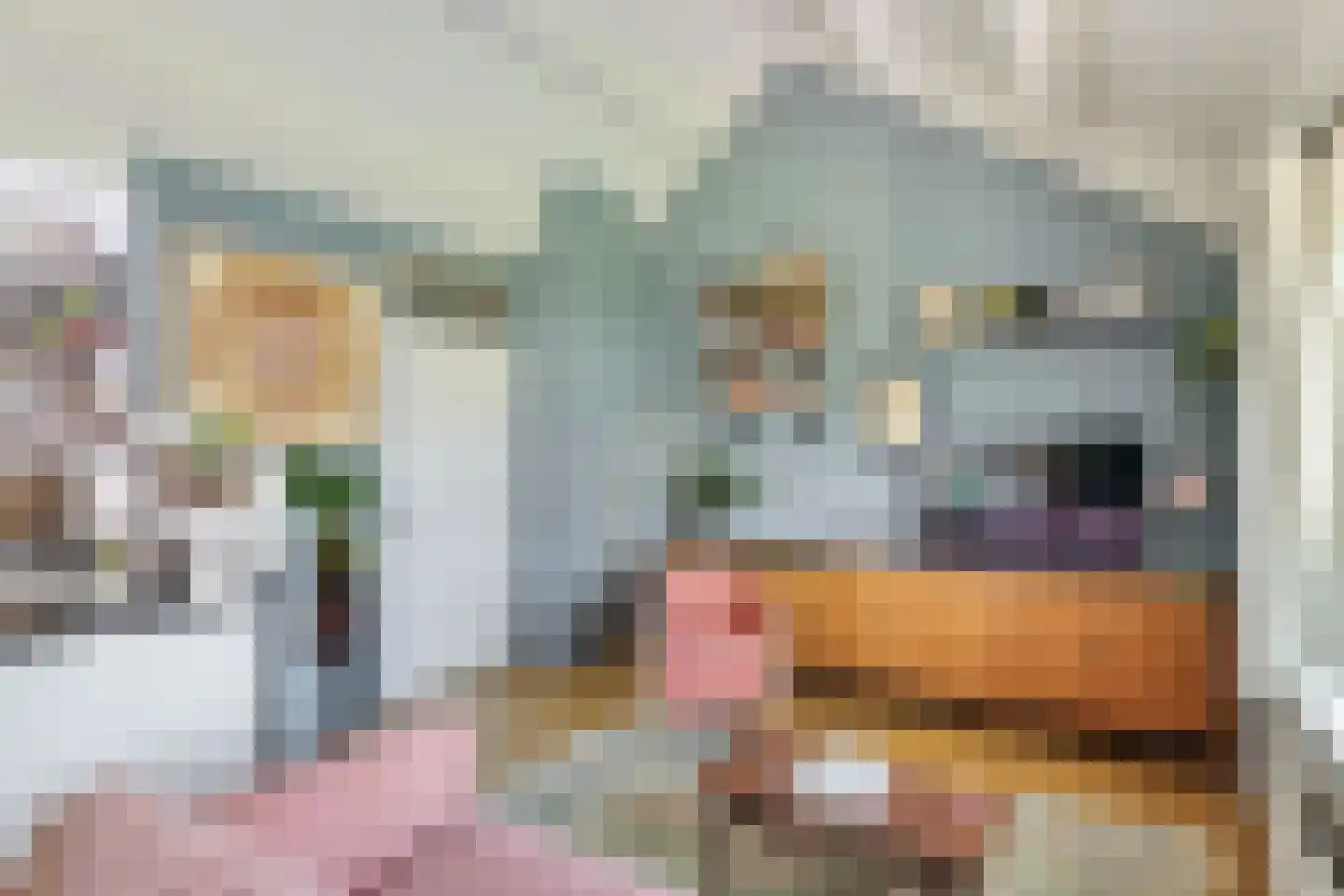 Lamstraat 25 Utrecht thumbnail 9