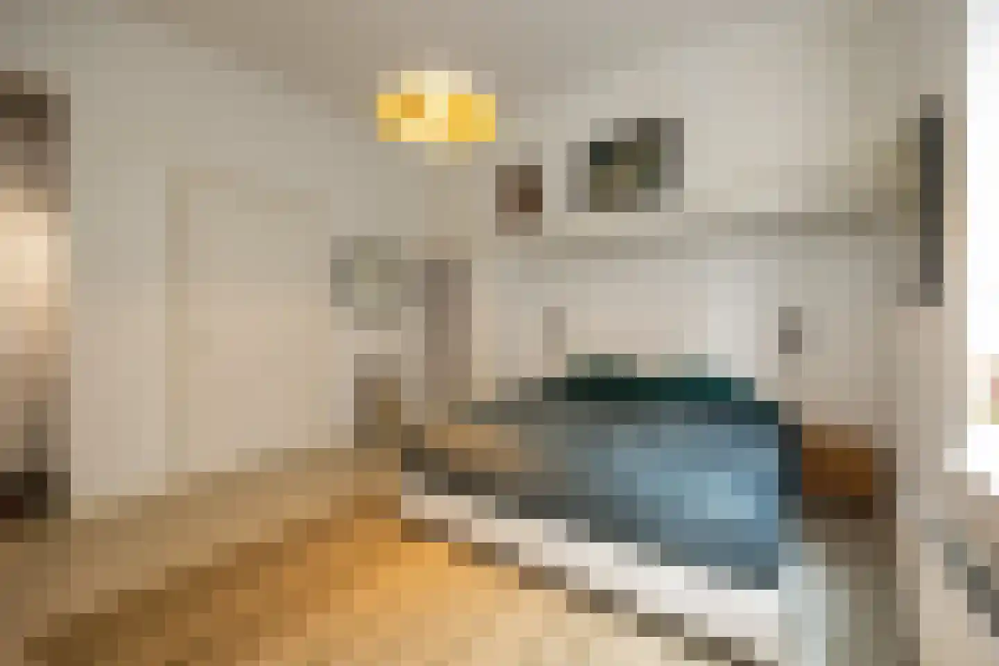Lamstraatje 1 A 's-Hertogenbosch thumbnail 12