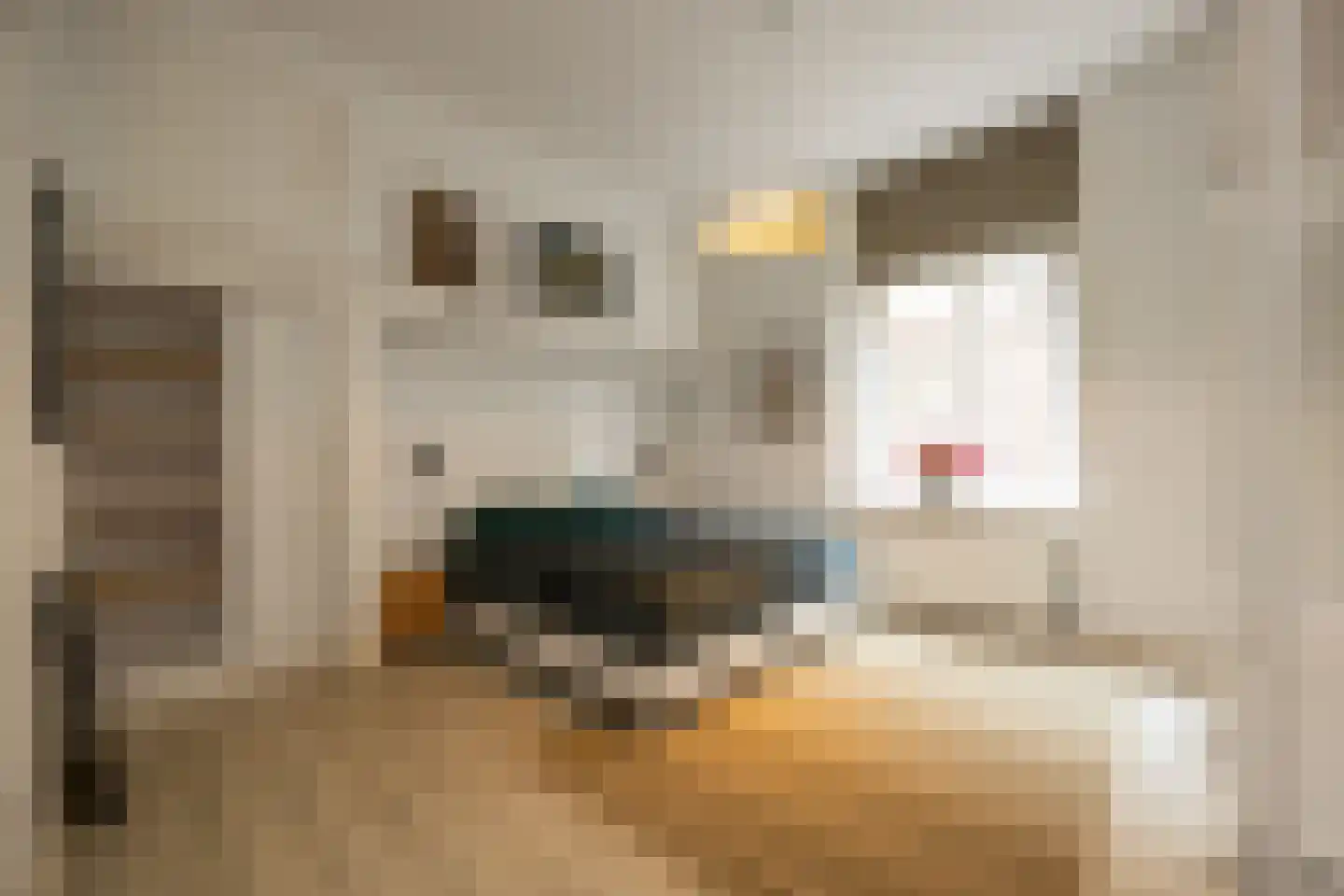 Lamstraatje 1 A 's-Hertogenbosch thumbnail 13