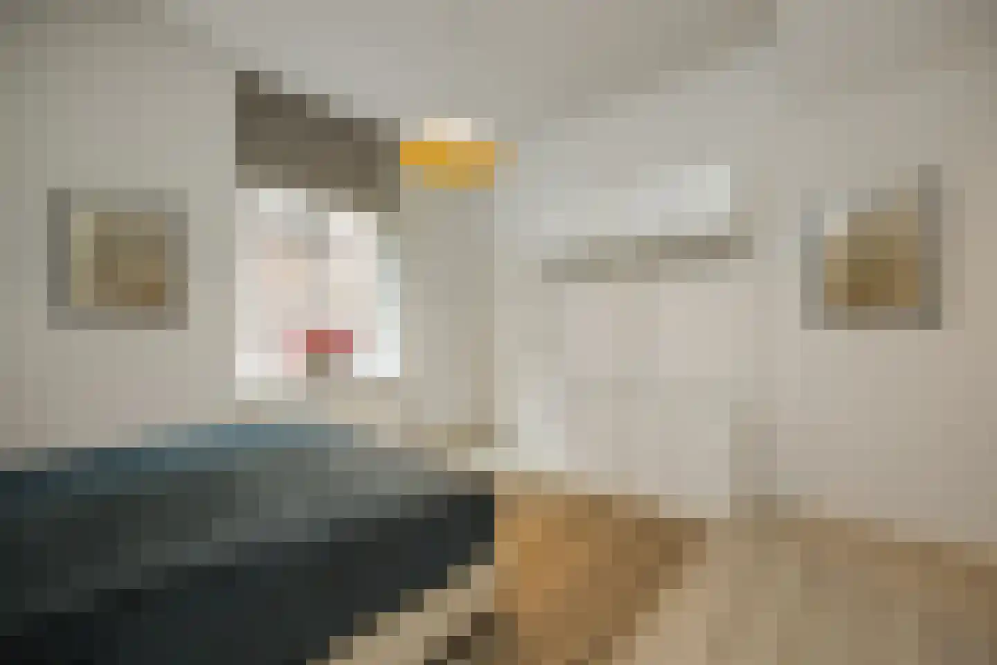 Lamstraatje 1 A 's-Hertogenbosch thumbnail 14