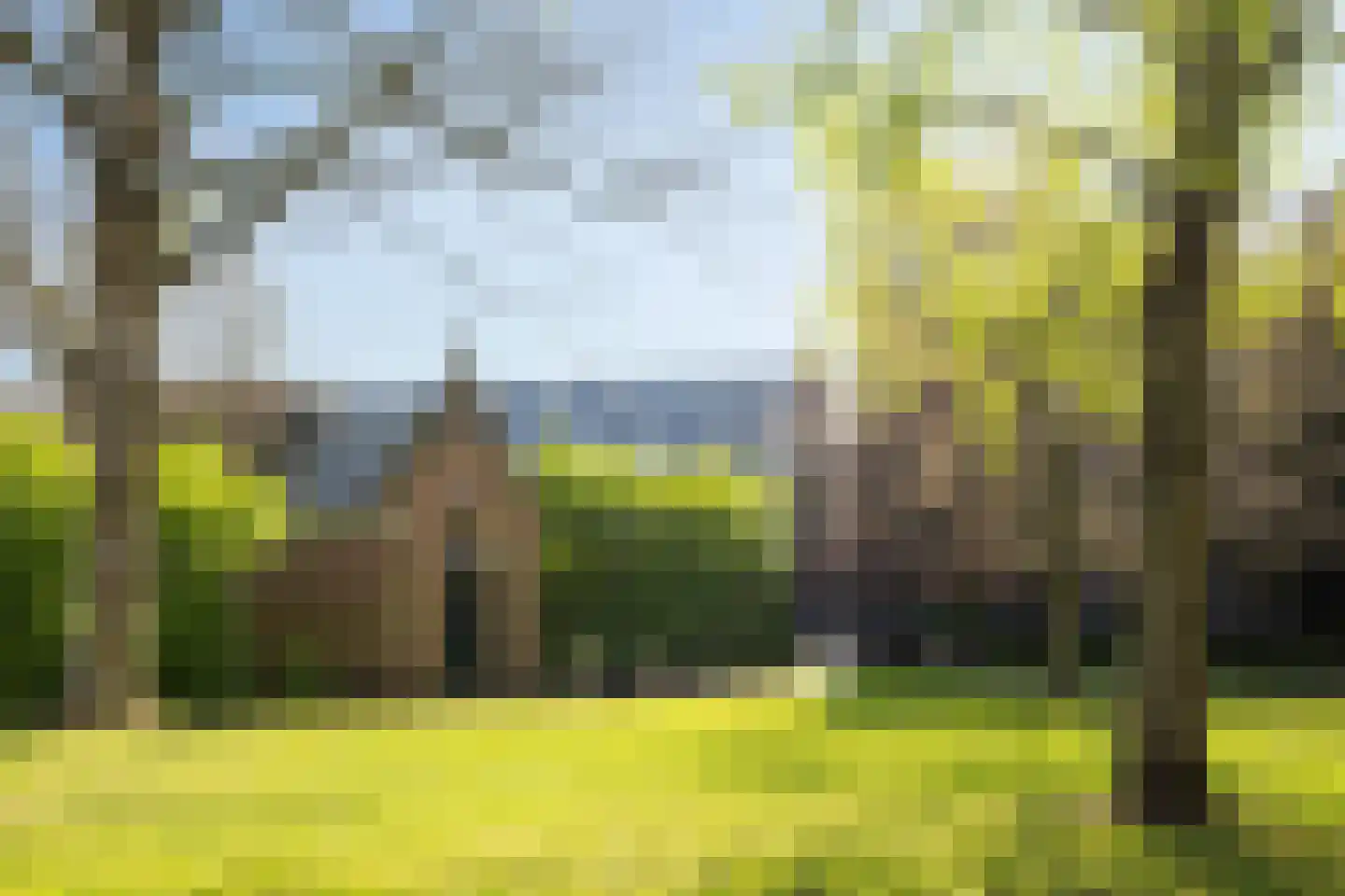 Lamstraatje 1 A 's-Hertogenbosch thumbnail 23