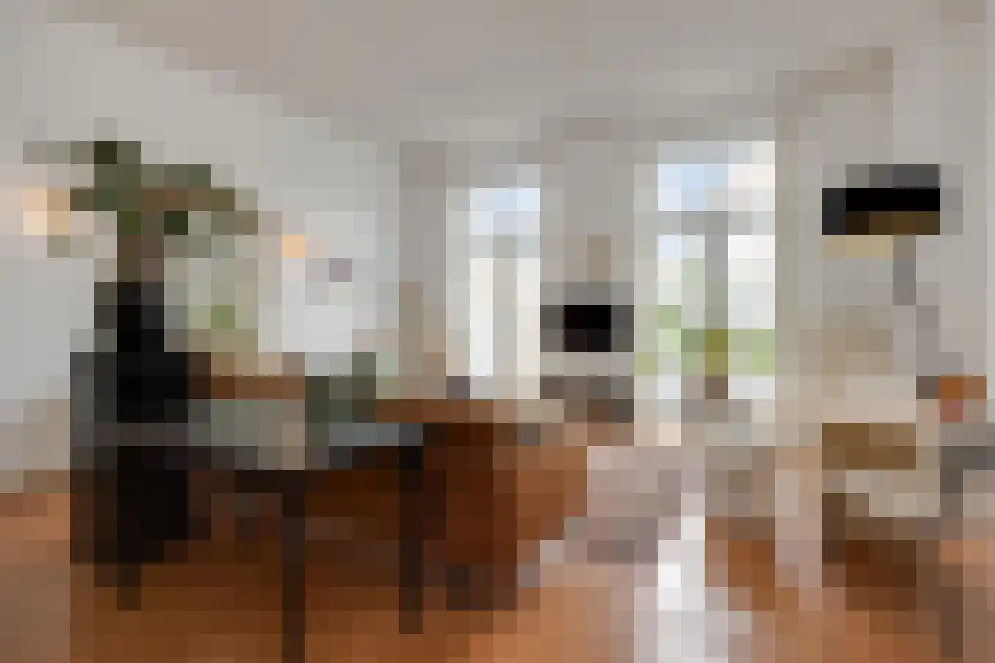 Lamstraatje 1 A 's-Hertogenbosch thumbnail 4
