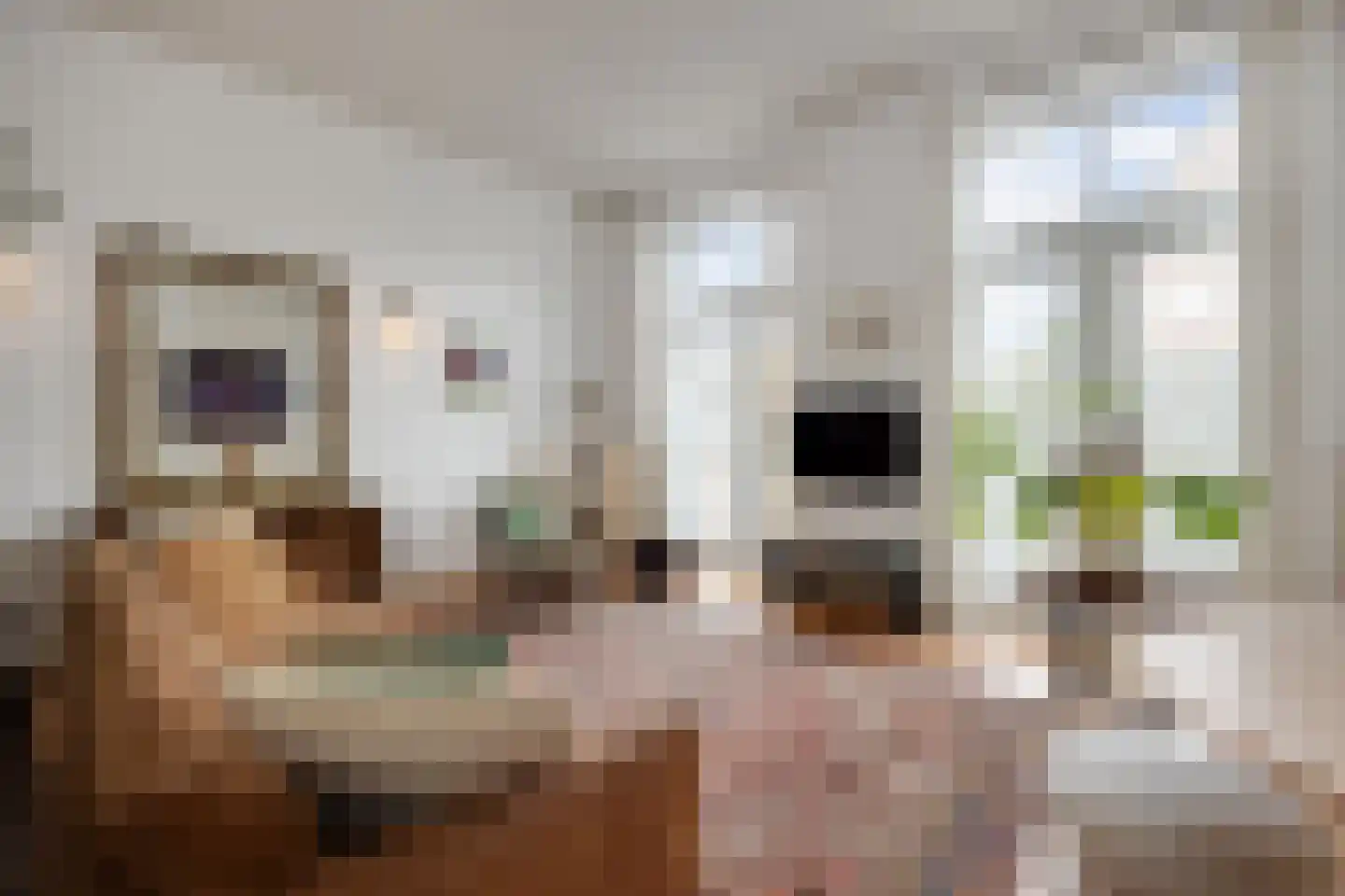 Lamstraatje 1 A 's-Hertogenbosch thumbnail 5