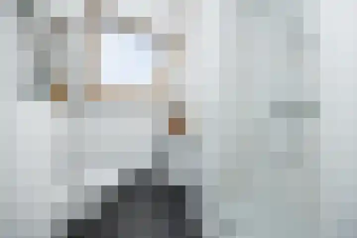 Lamstraatje 1 B 's-Hertogenbosch thumbnail 19