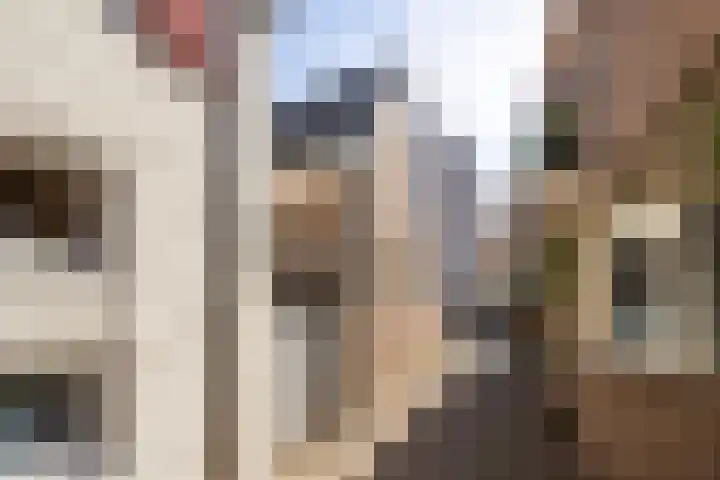 Lamstraatje 1 B 's-Hertogenbosch thumbnail 23