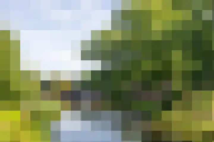 Lamstraatje 1 B 's-Hertogenbosch thumbnail 29