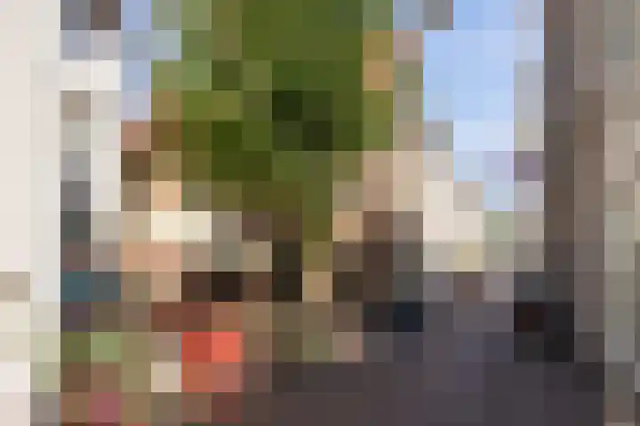 Lamstraatje 1 B 's-Hertogenbosch thumbnail 31