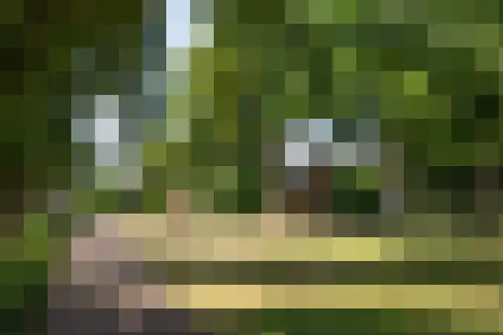 Lamstraatje 1 B 's-Hertogenbosch thumbnail 32