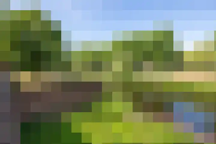 Lamstraatje 1 B 's-Hertogenbosch thumbnail 35