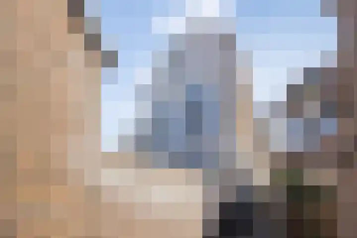 Lamstraatje 1 B 's-Hertogenbosch thumbnail 37