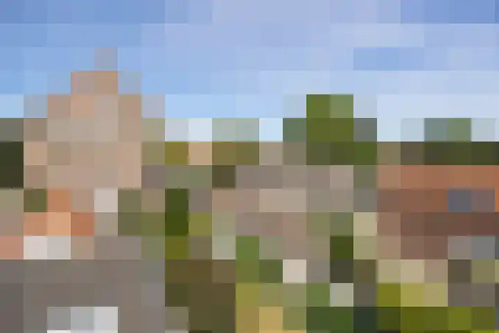 Lamstraatje 1 B 's-Hertogenbosch thumbnail 6