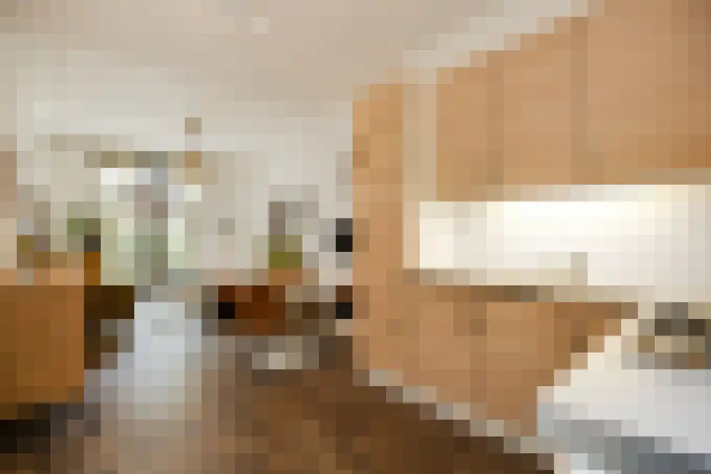 Lamstraatje 1 's-Hertogenbosch thumbnail 13