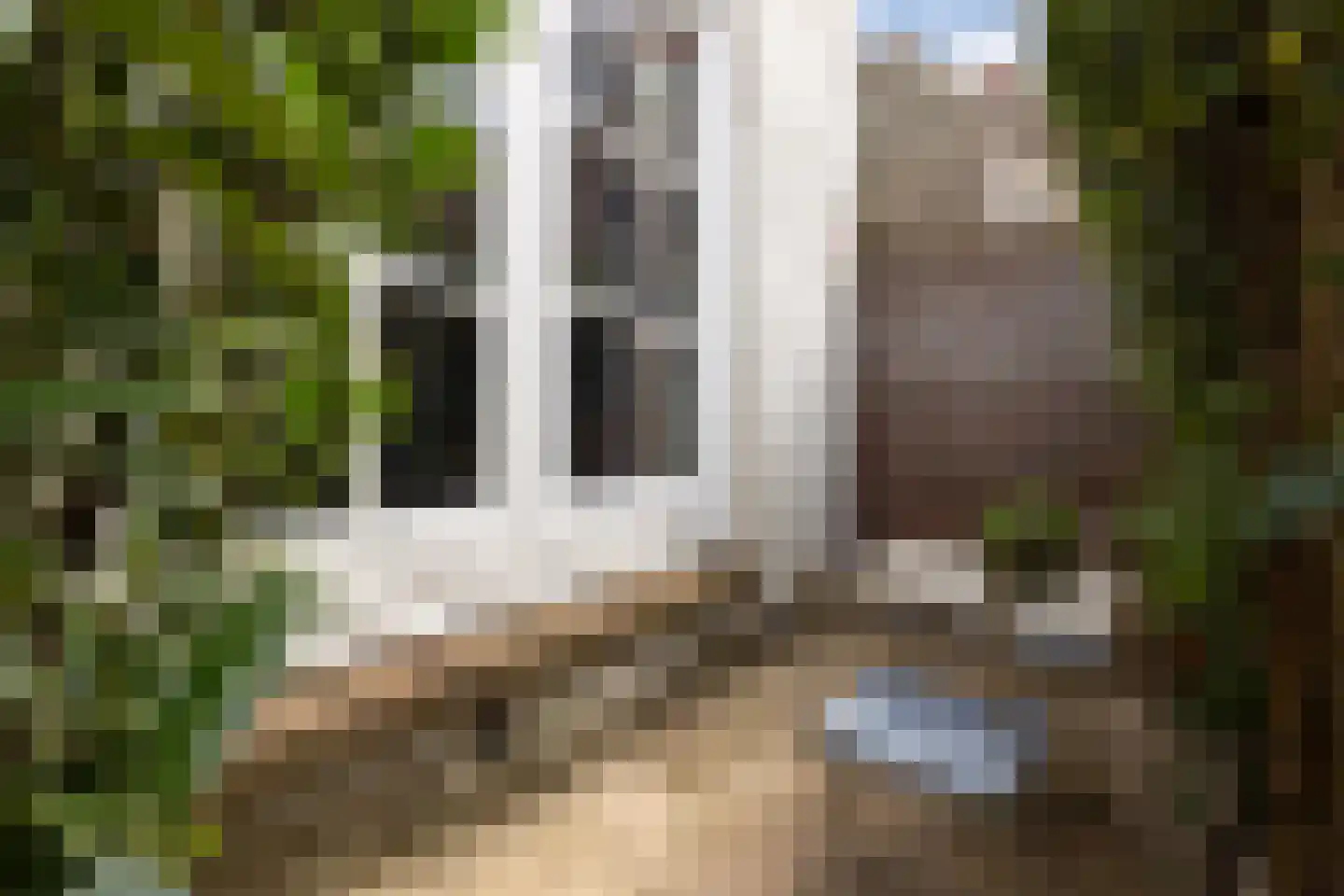 Lamstraatje 1 's-Hertogenbosch thumbnail 17