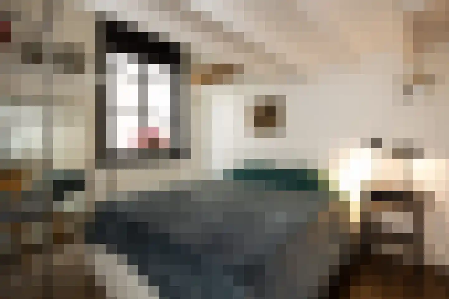 Lamstraatje 1 's-Hertogenbosch thumbnail 20
