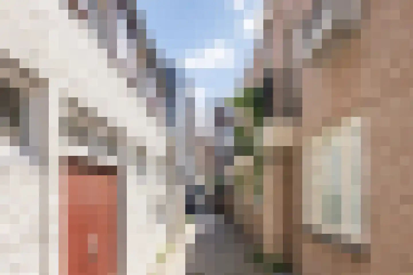Lamstraatje 1 's-Hertogenbosch thumbnail 26
