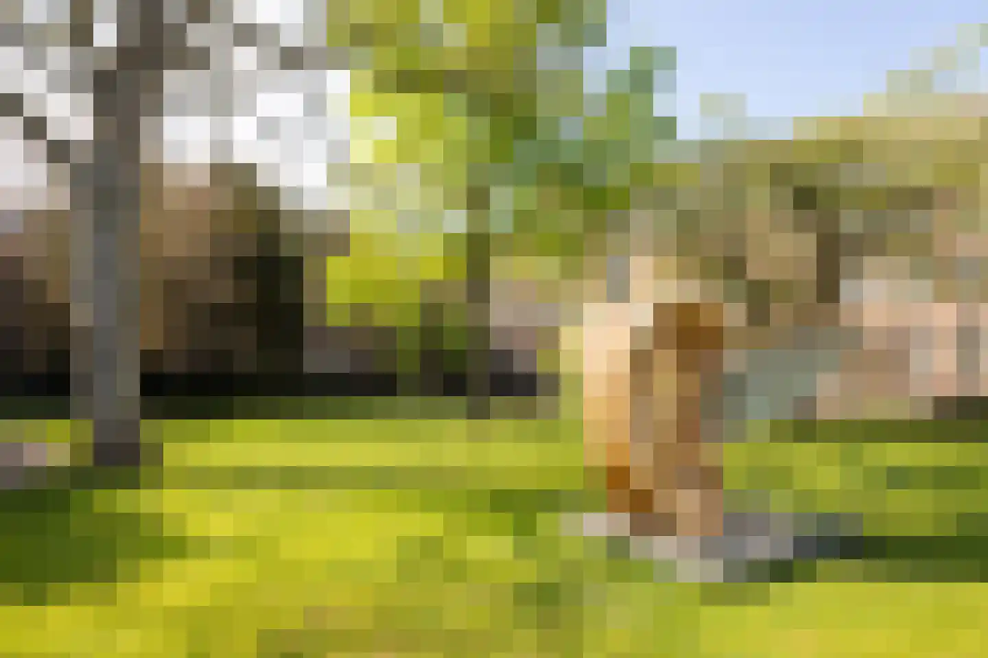 Lamstraatje 1 's-Hertogenbosch thumbnail 31
