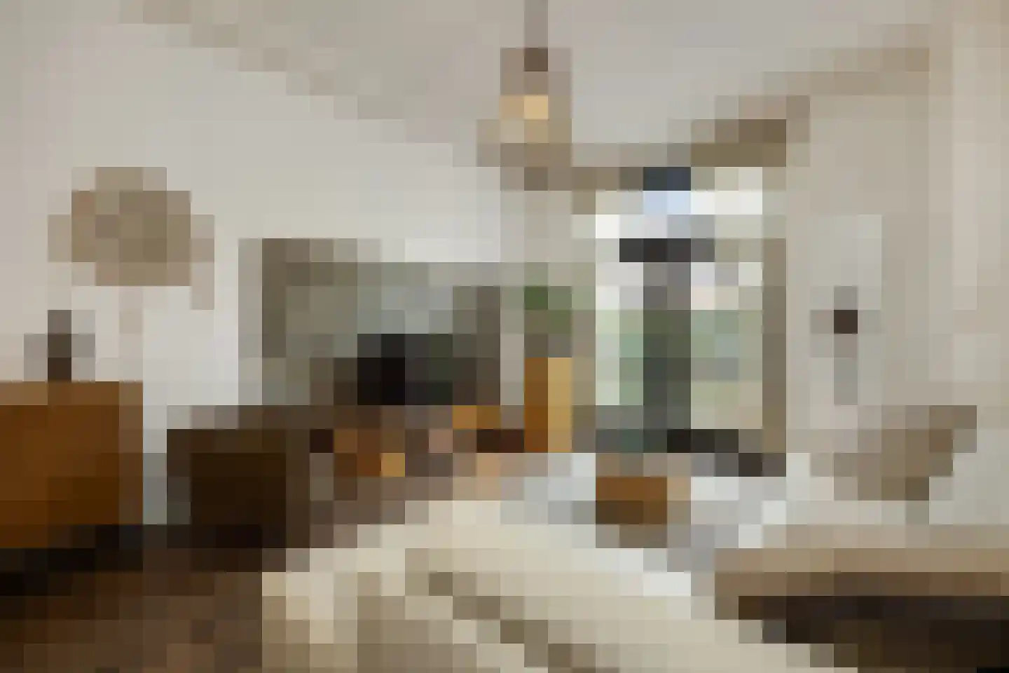 Lamstraatje 1 's-Hertogenbosch thumbnail 4