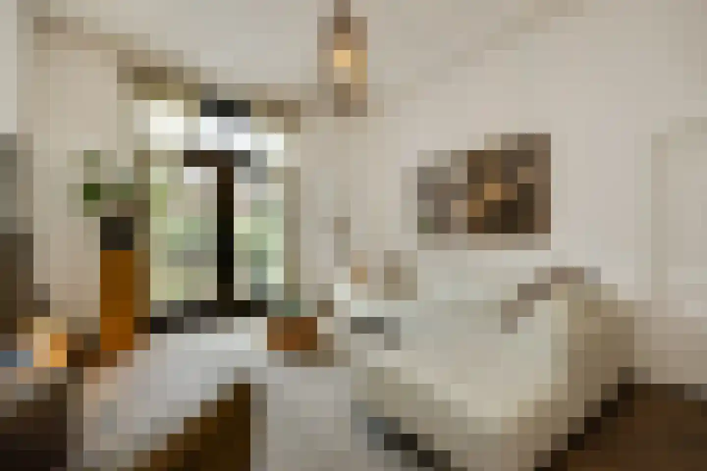 Lamstraatje 1 's-Hertogenbosch thumbnail 5