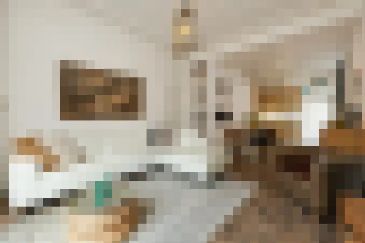 Lamstraatje 1 's-Hertogenbosch thumbnail 6