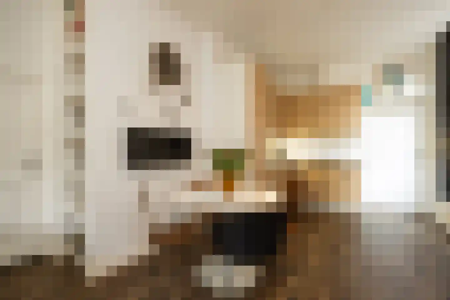 Lamstraatje 1 's-Hertogenbosch thumbnail 9