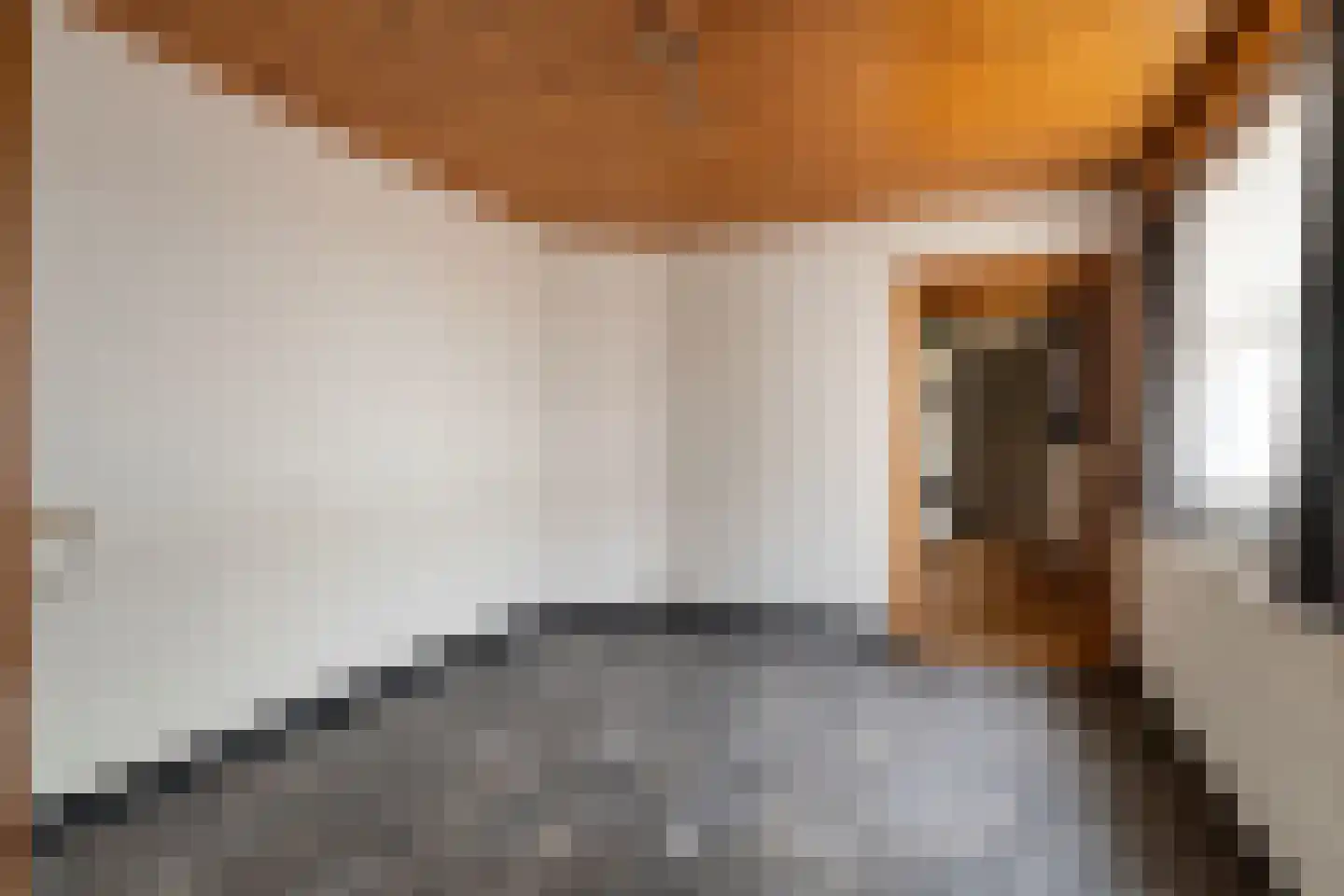 Lanakerweg 52 Maastricht thumbnail 9