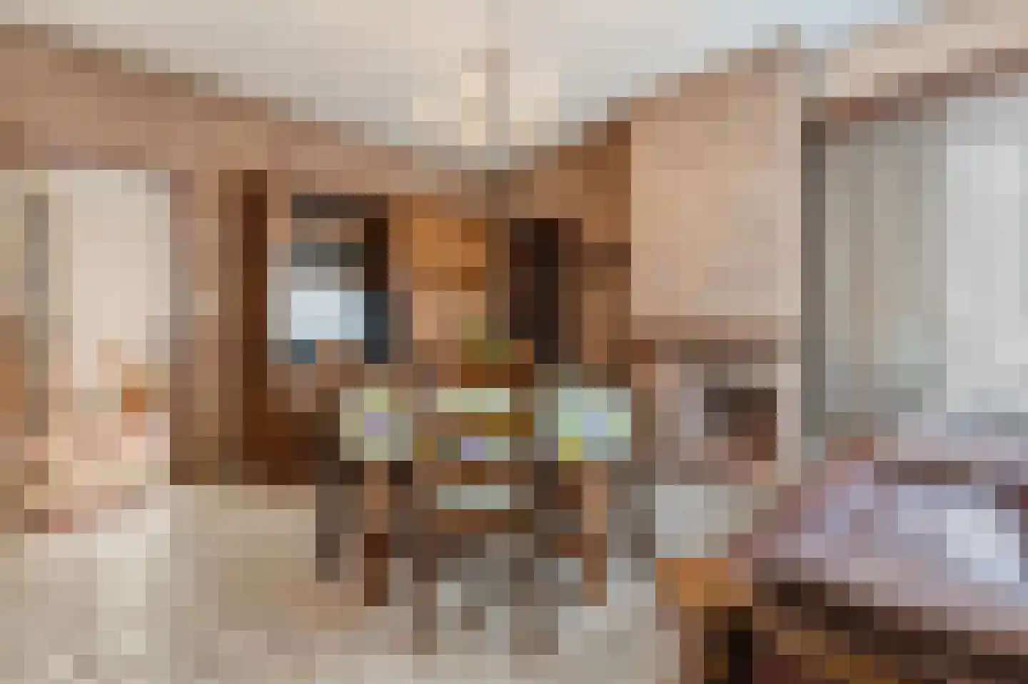Lanakerweg 6 Maastricht thumbnail 6