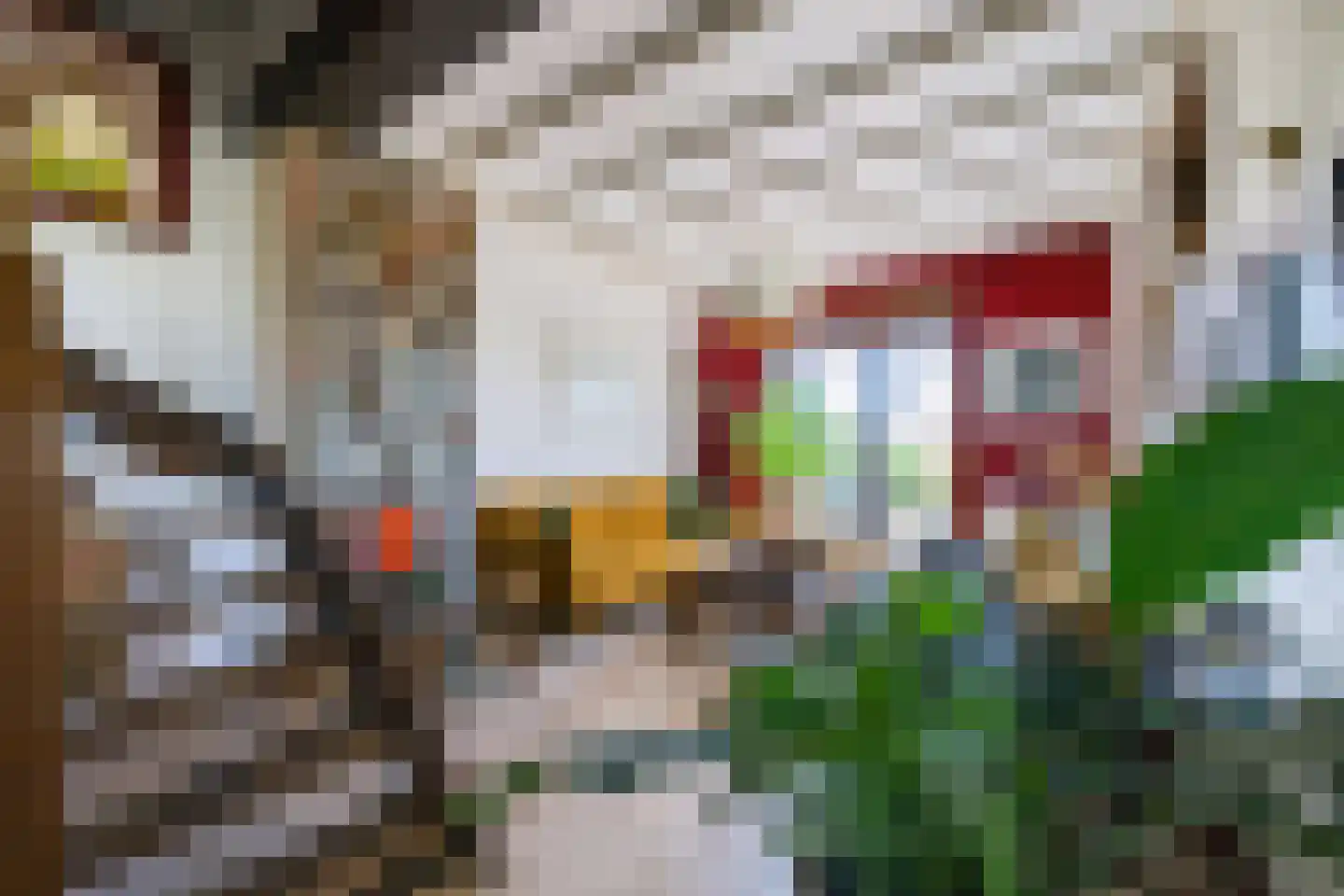 Lanakerweg 8 Maastricht thumbnail 16