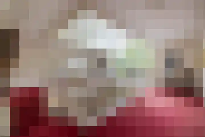 Lancashire 5 Almelo thumbnail 18
