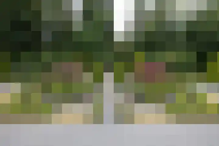 Lancashire 5 Almelo thumbnail 27