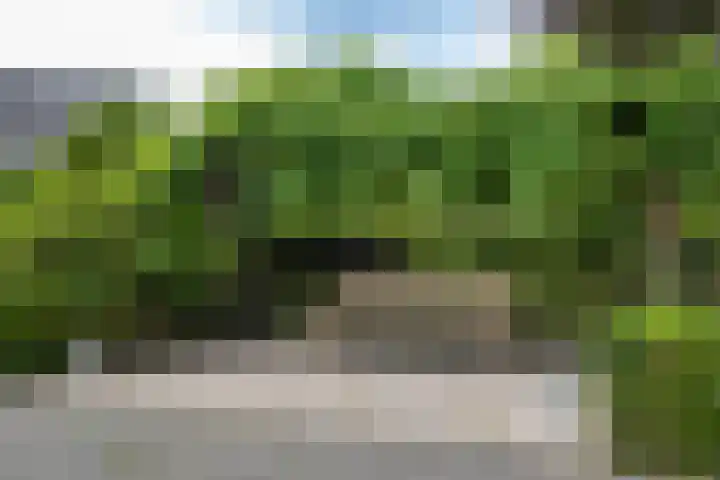 Lancashire 5 Almelo thumbnail 30