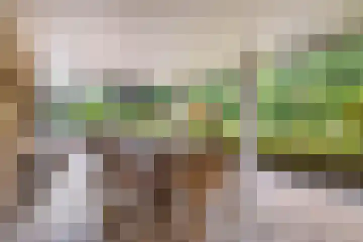 Lancashire 5 Almelo thumbnail 31