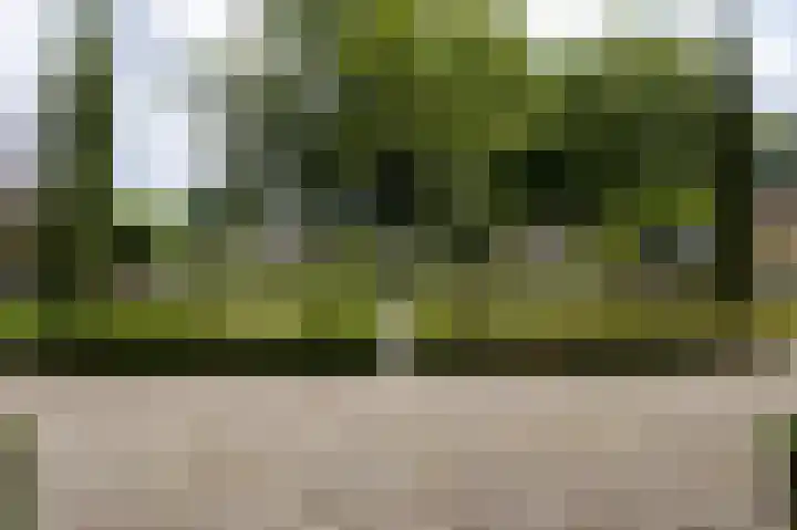 Lancashire 5 Almelo thumbnail 7