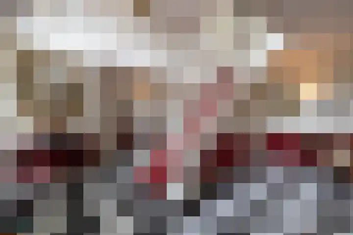 Lancashire 5 Almelo thumbnail 9