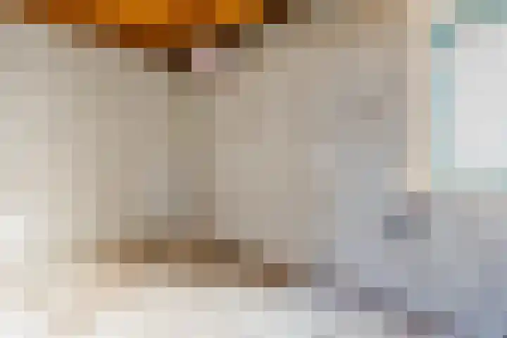 Lancasterdreef 104 Dronten thumbnail 31