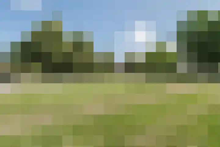 Lancasterdreef 104 Dronten thumbnail 40