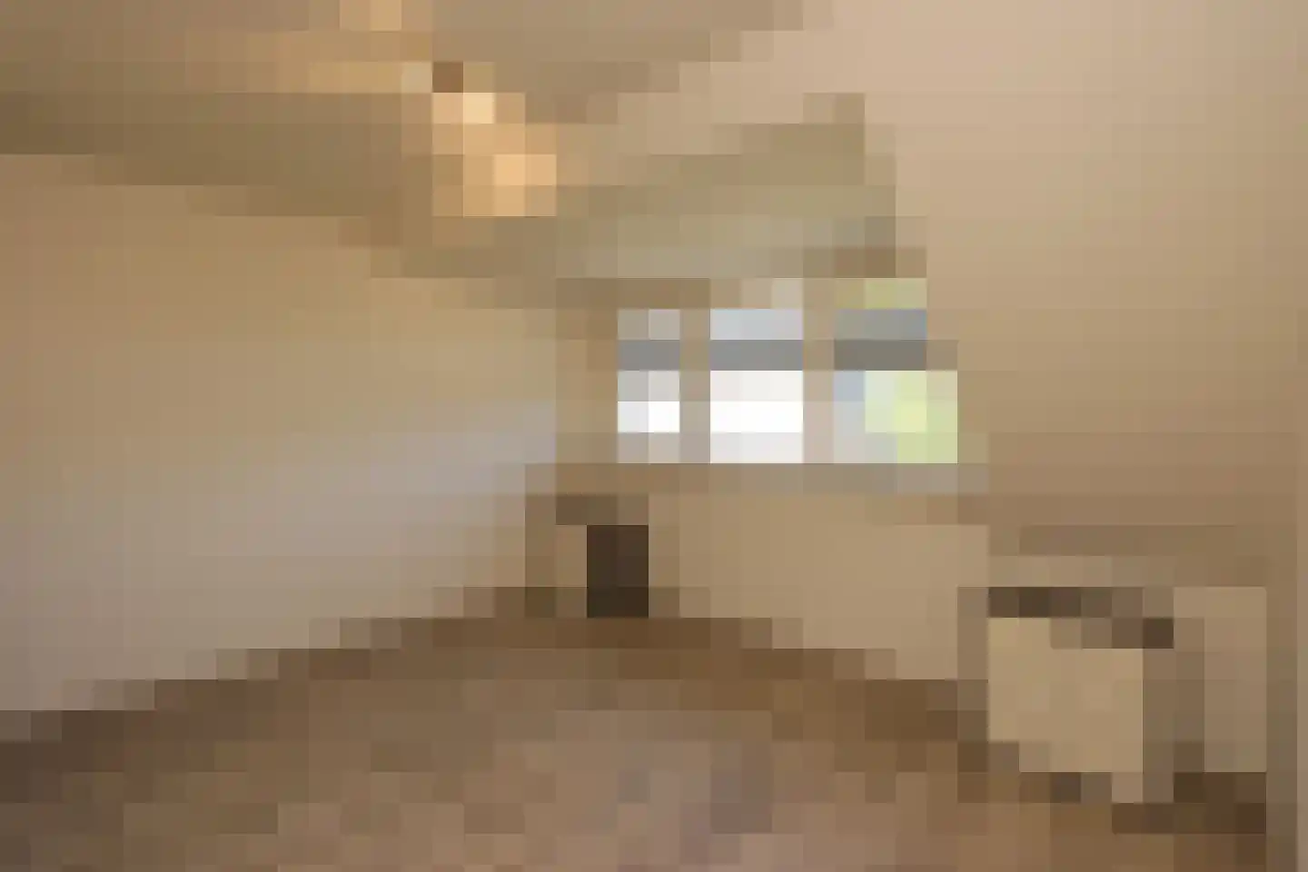 Lancasterdreef 37 A Dronten thumbnail 32