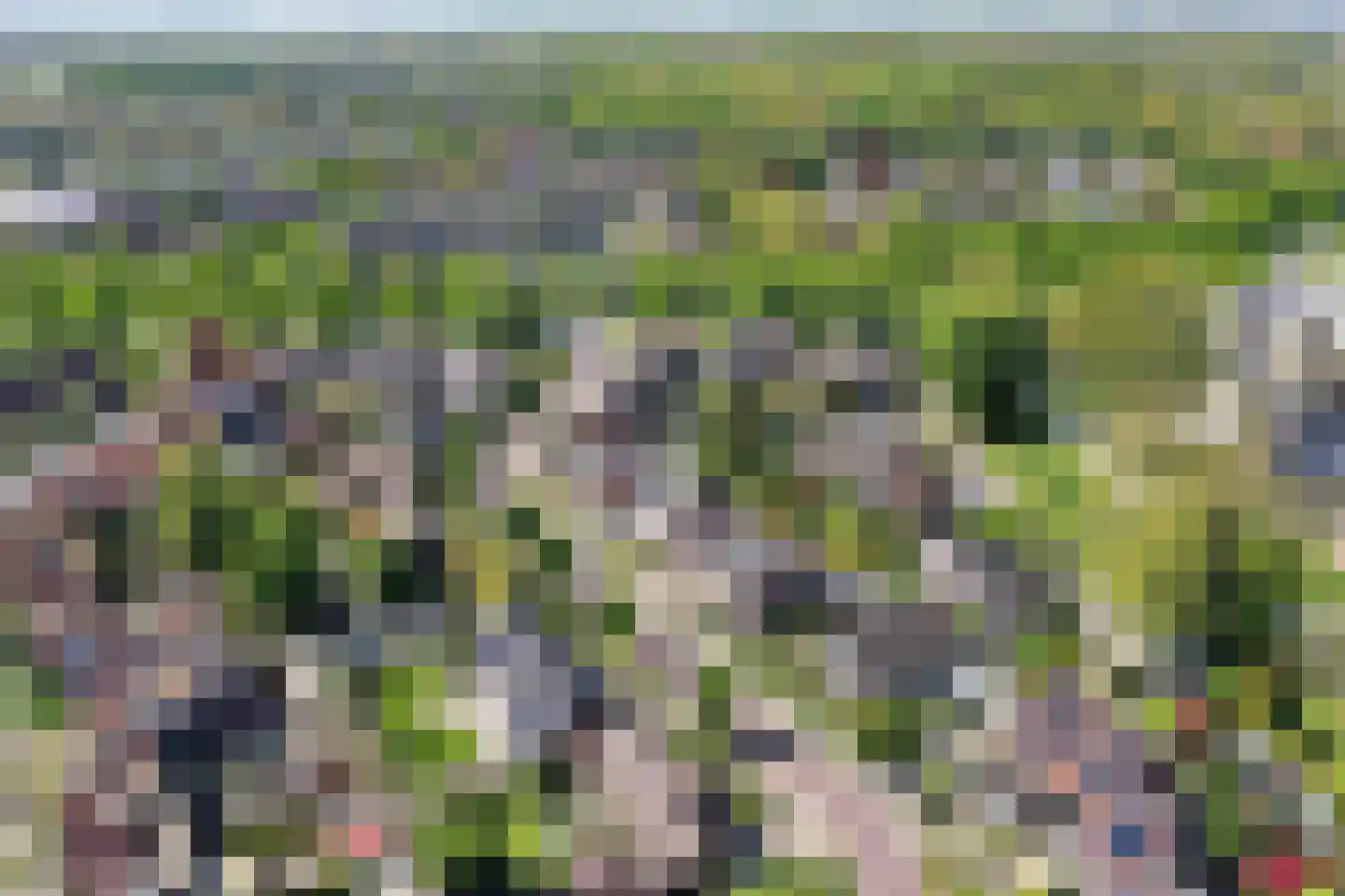 Lancasterdreef 37 A Dronten thumbnail 50