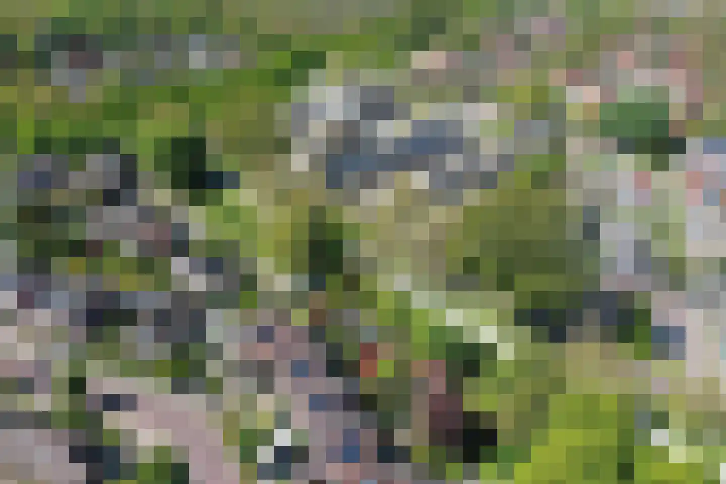 Lancasterdreef 37 A Dronten thumbnail 51