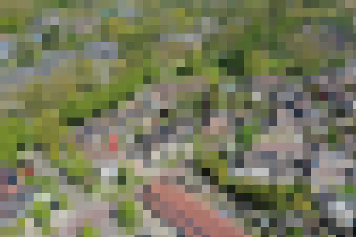 Lancasterdreef 37 A Dronten thumbnail 9